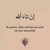 zeyd833