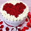 ahmed111ftoha