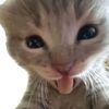 user1160609