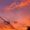 random_anything25