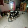 padi.kuning.78