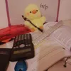 thichanpunpo25