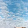 omss_lpng