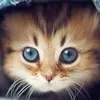 avatar6388