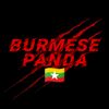 burmesepanda1