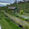 viet_hoang52