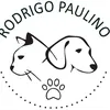rodrigopaulino2025