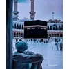mahm_3883
