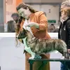 ancksunamuncorgis