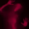 pod_zaborom_moi_tryp