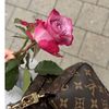 larose_982