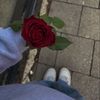eib_7813