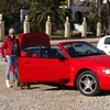 mustangdiane