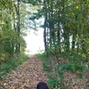 www.tiktok.comannejesus