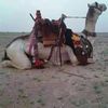 user1810126418956