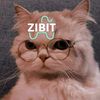 zib1t