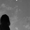 nwin_533