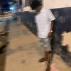 ribporks4