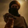 .313804633