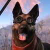 dogmeat_taco