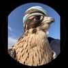 naser05