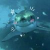 gomitasde_tiburon
