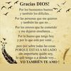rebeca636382883