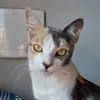 lolaalmeidaxululu