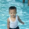 arifwongwongan