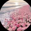 almadina323