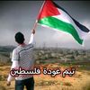 ali_alhaf1