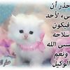 dy2us9mn1jsh