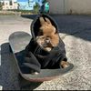 alessandro_15_1