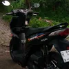 shnise__