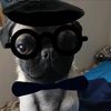 capatazpugflow