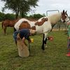 leesstillriding