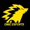 onicesports44