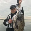 silvio.kaminobo