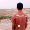 20_nbio