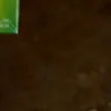 tandiiii_