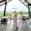 dian2977t
