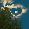 hammood_55