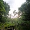 muji_62_