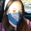 _allygimena
