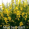 user5907716888754