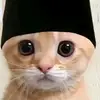 kaka_vina8656