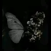 63.02a