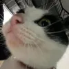 hdrxie