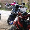 rehan___276