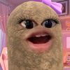 lopp_piu